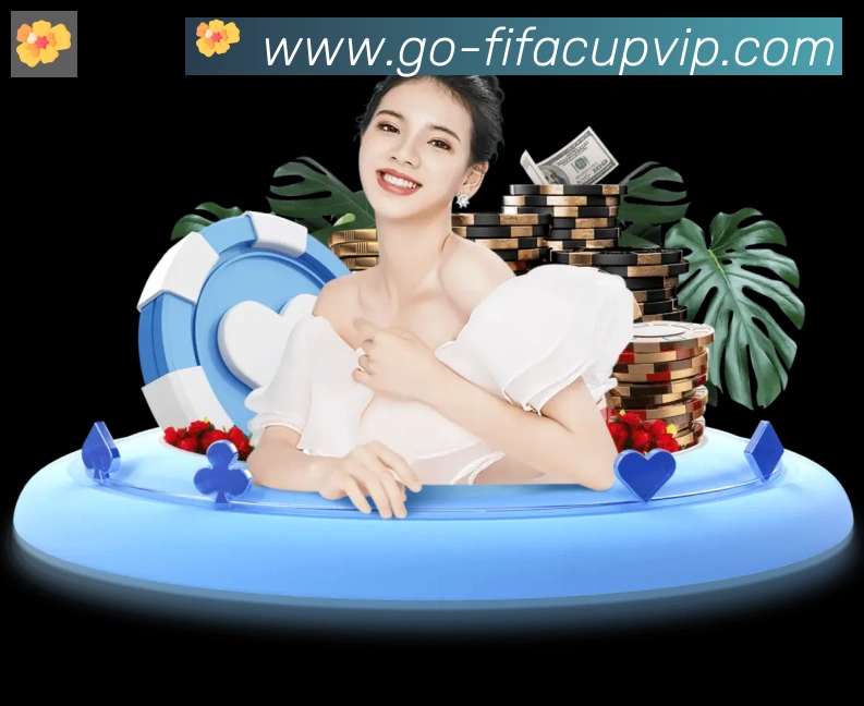 未来规划